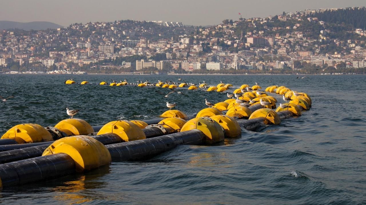 Çamur Temizlendi, Doğa Canlandı: Yeni Canlılar Dönüyor