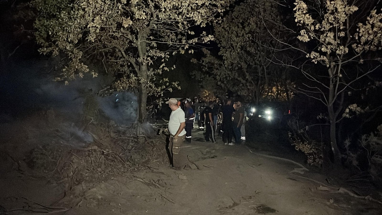 Gebze'de orman yangını: 3 saatte söndürüldü