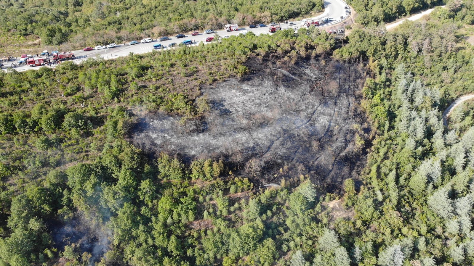İzmit'te Orman Yangını: Bir Saatte Söndürüldü