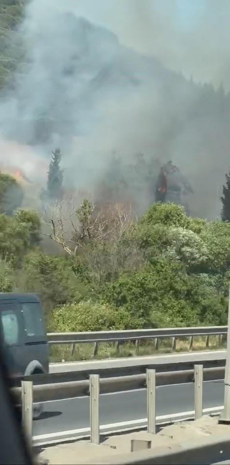 Kocaeli: Yol kenarı yangını ormana sıçradı, 2 saatte söndürüldü