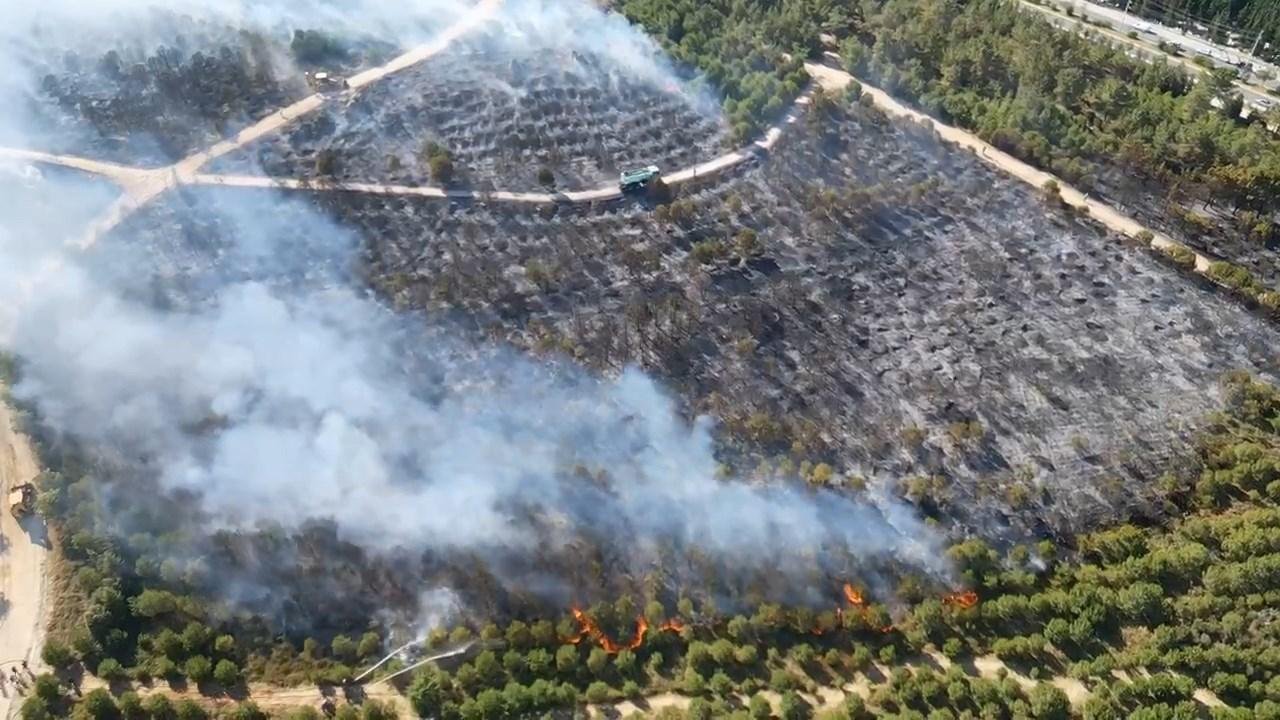 Kocaeli'de ağaçlık bölgede yangın