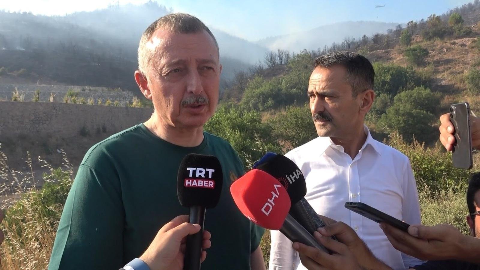Kocaeli'de orman yangını