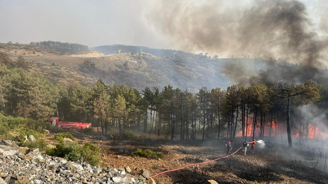 Kocaeli'den Bursa yangınına tam destek