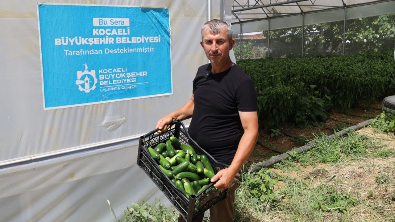Modern Seralarda Bereket: Hasat Rekor Kırdı