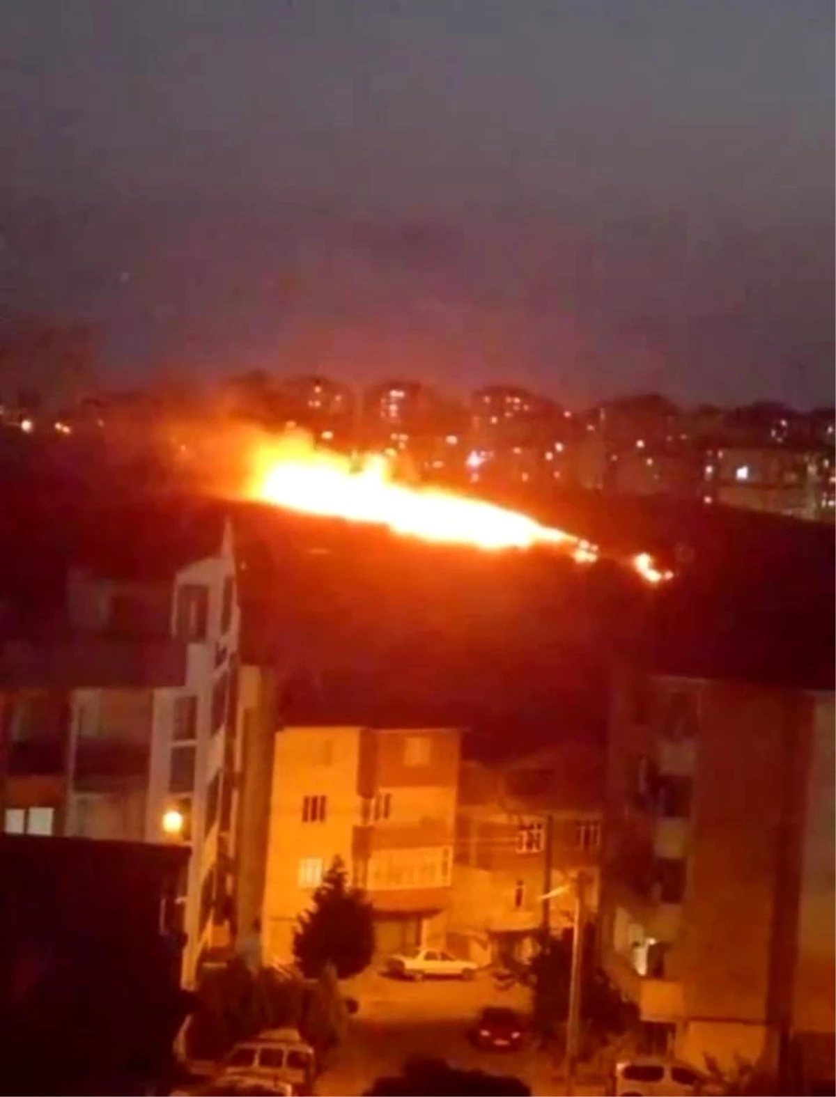 Çayırova'da Aşıklar Tepesi'nde çıkan yangın söndürüldü