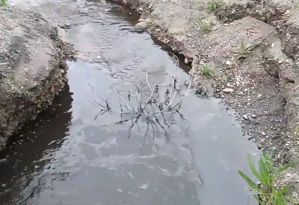 Sapanca Gölü'ne Yakıt Sızıntısı: “Biz Bu Suyu İçiyoruz!”