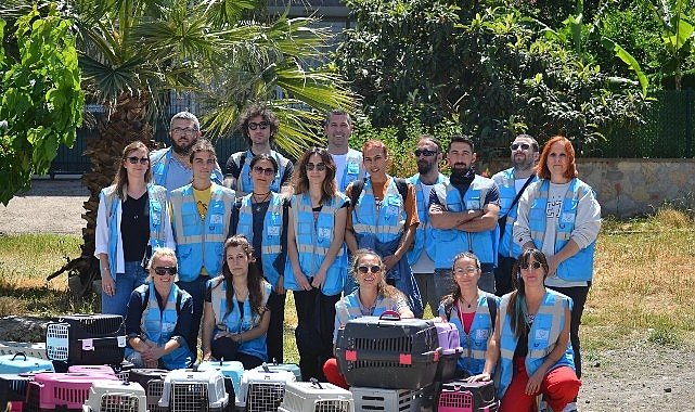 Elim Patinde" projesiyle Seferihisar'da sokak hayvanları sahipsiz değil