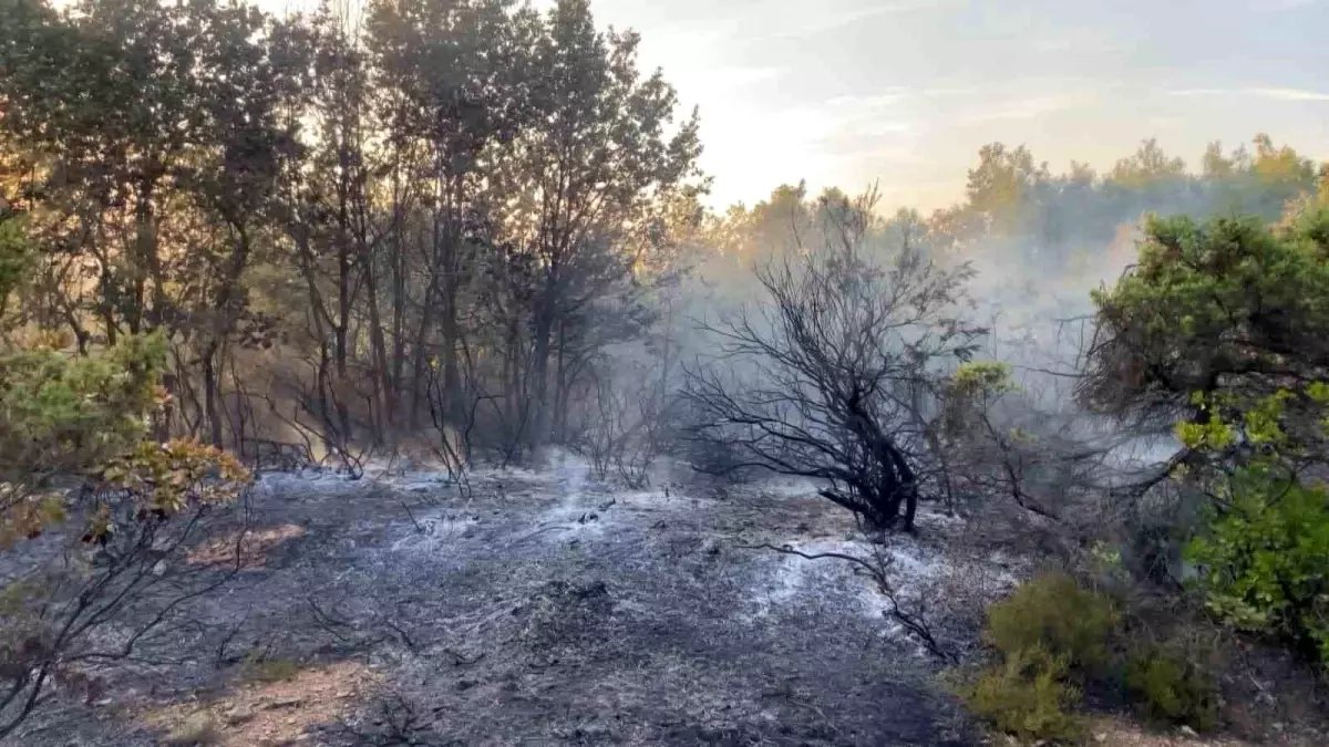 Gebze'deki Orman Yangını Kontrol Altına Alındı