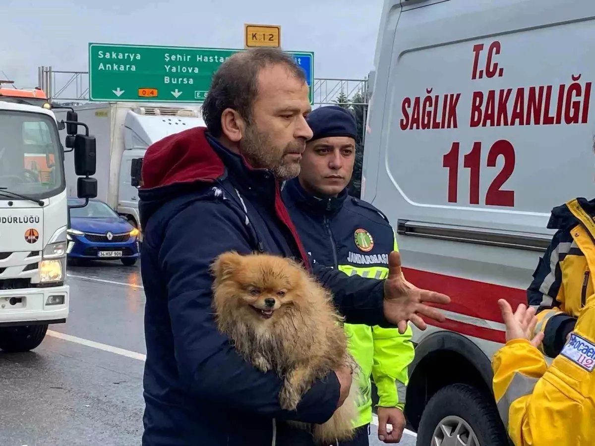 Kocaeli'de Feci Kaza: Cip Bariyere Çarparak Durdu, Sürücü Küçük Arkadaşını Bırakmadı