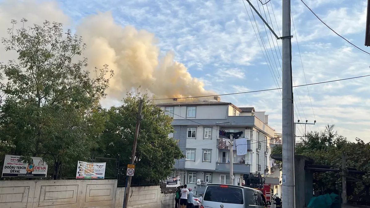 Kocaeli'de Mangaldan Çıkan Kıvılcımlar Yangına Sebep Oldu