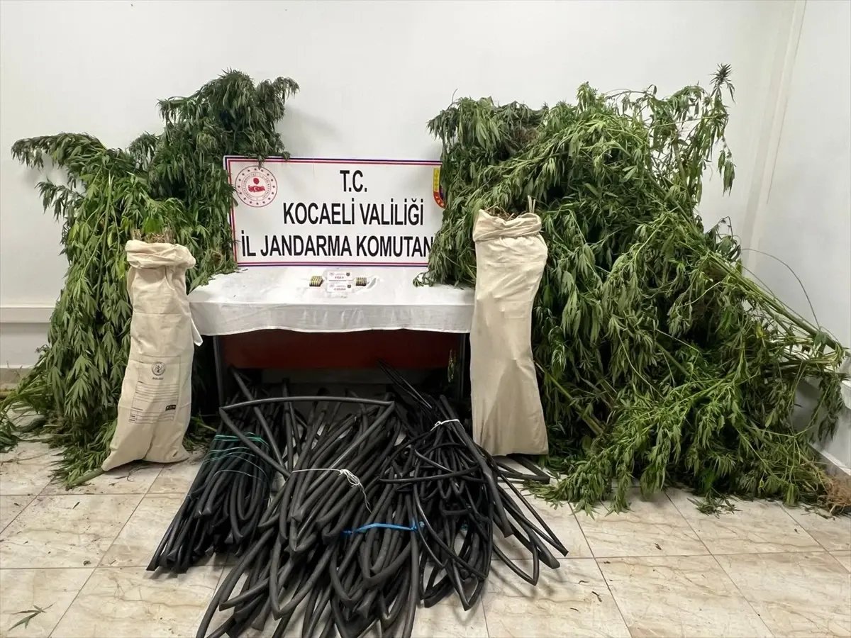 Kocaeli'de Uyuşturucu Operasyonu: 4 Şüpheliden 1'i Tutuklandı