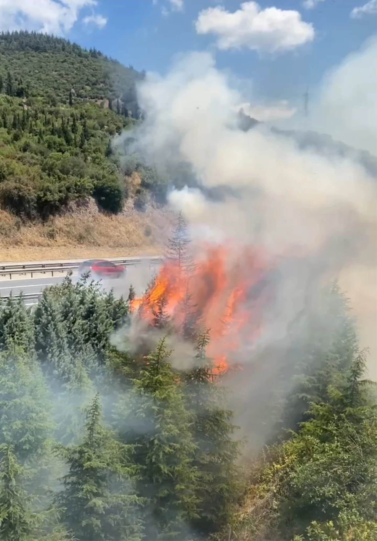 Körfez'de TEM Otoyolu'nda Yangın Çıktı