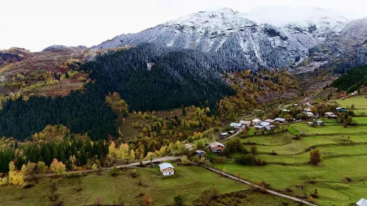 Şavşat'ta Sonbahar ve Kış Hazırlığı: Doğanın Renk Cümbüşü