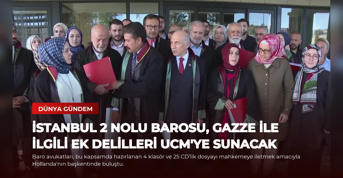 İstanbul 2 Nolu Barosu, Gazze İle İlgili Ek Delilleri UCM'ye Sunacak
