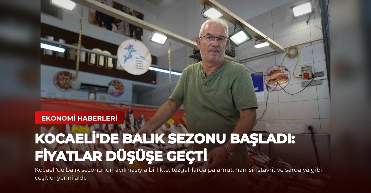 Kocaeli'de Balık Sezonu Başladı: Fiyatlar Düşüşe Geçti
