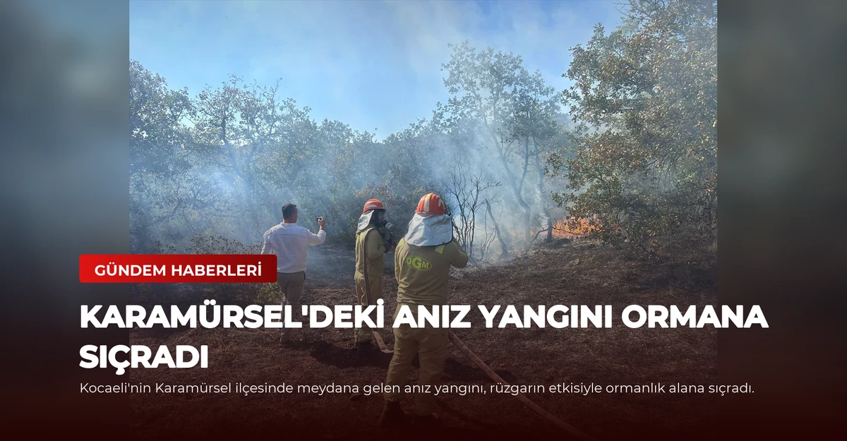 Karamürsel'deki Anız Yangını Ormana Sıçradı