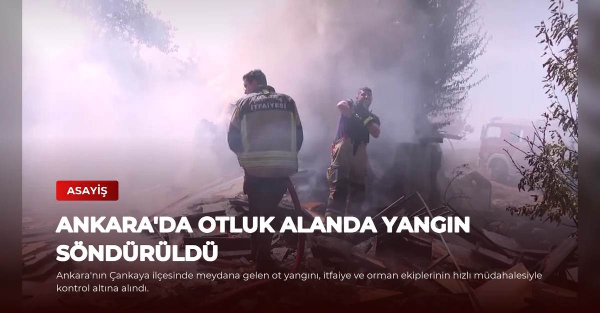 Ankara'da Otluk Alanda Yangın Söndürüldü