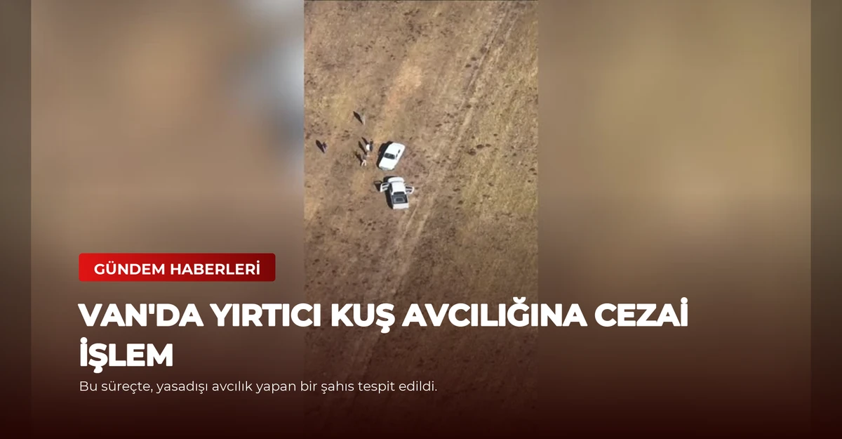Van'da Yırtıcı Kuş Avcılığına Cezai İşlem