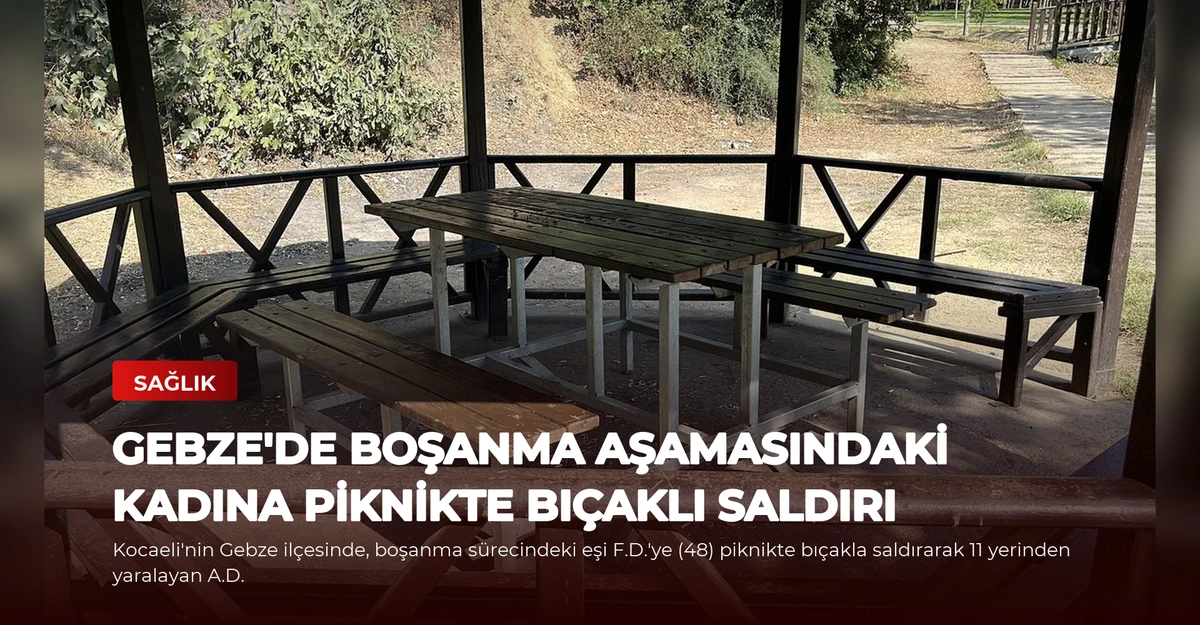 Gebze'de Boşanma Aşamasındaki Kadına Piknikte Bıçaklı Saldırı