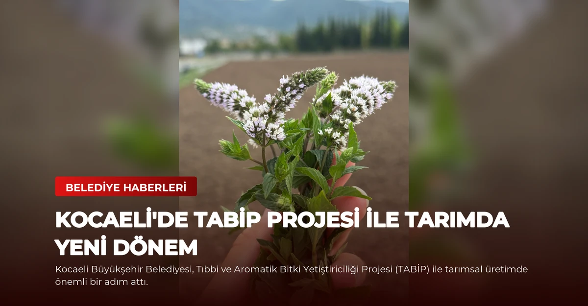 Kocaeli'de TABİP Projesi ile Tarımda Yeni Dönem