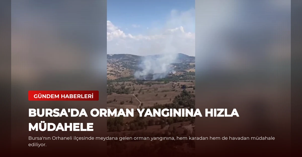 Bursa'da Orman Yangınına Hızla Müdahele