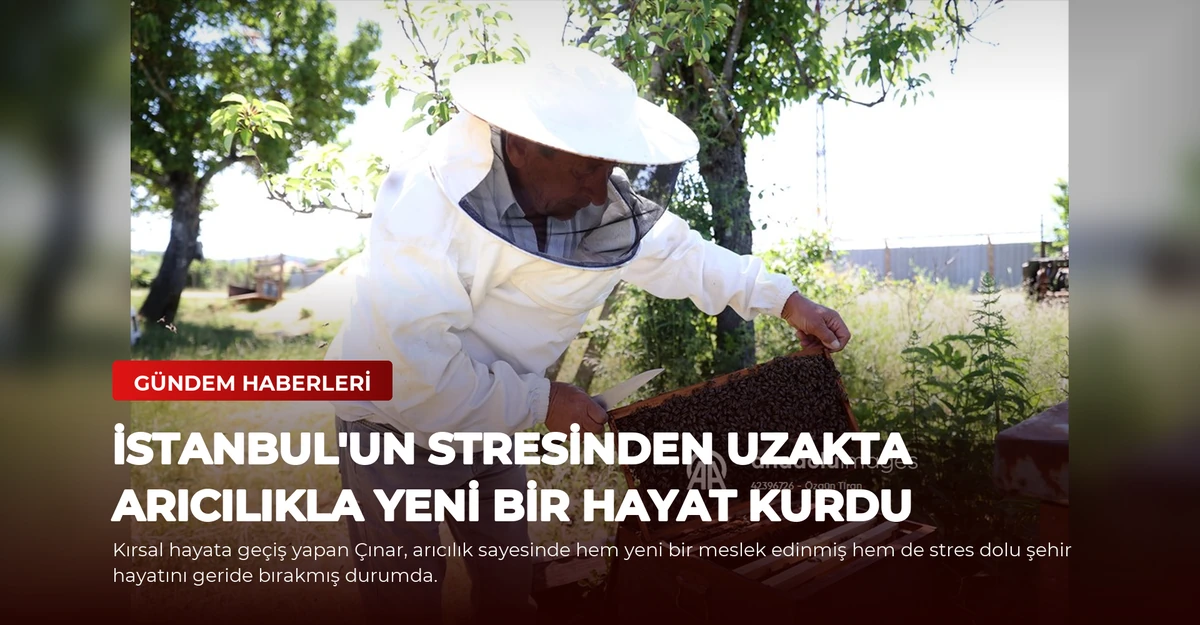 İstanbul'un Stresinden Uzakta Arıcılıkla Yeni Bir Hayat Kurdu