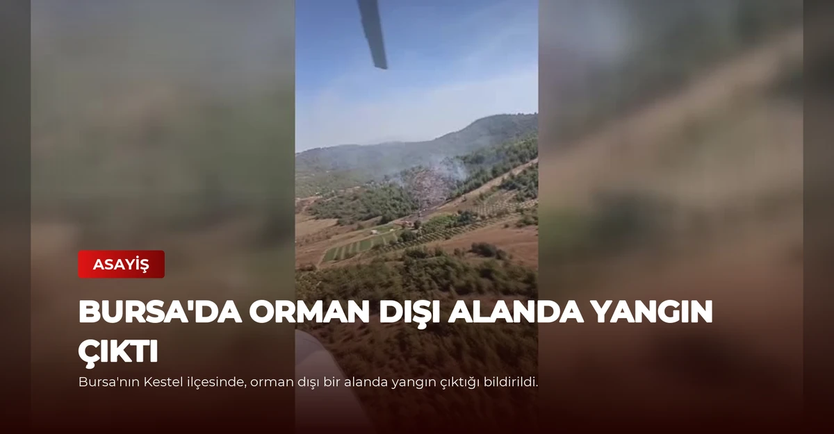 Bursa'da Orman Dışı Alanda Yangın Çıktı