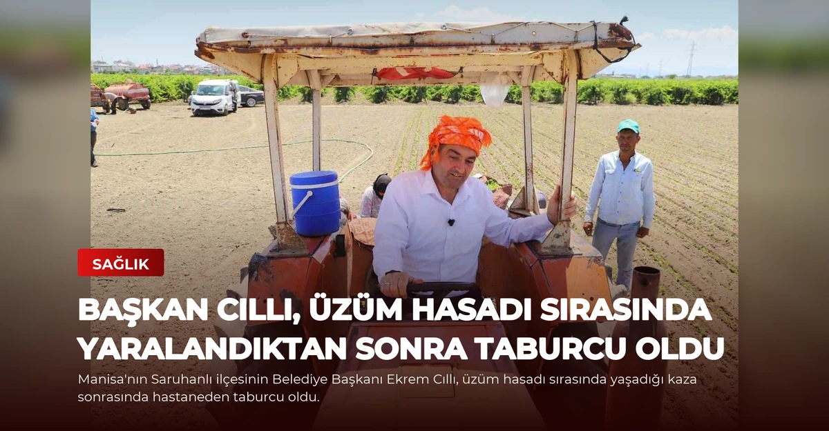 Başkan Cıllı, Üzüm Hasadı Sırasında Yaralandıktan Sonra Taburcu Oldu