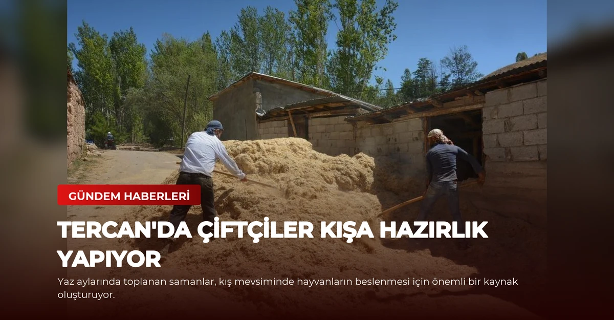 Tercan'da Çiftçiler Kışa Hazırlık Yapıyor