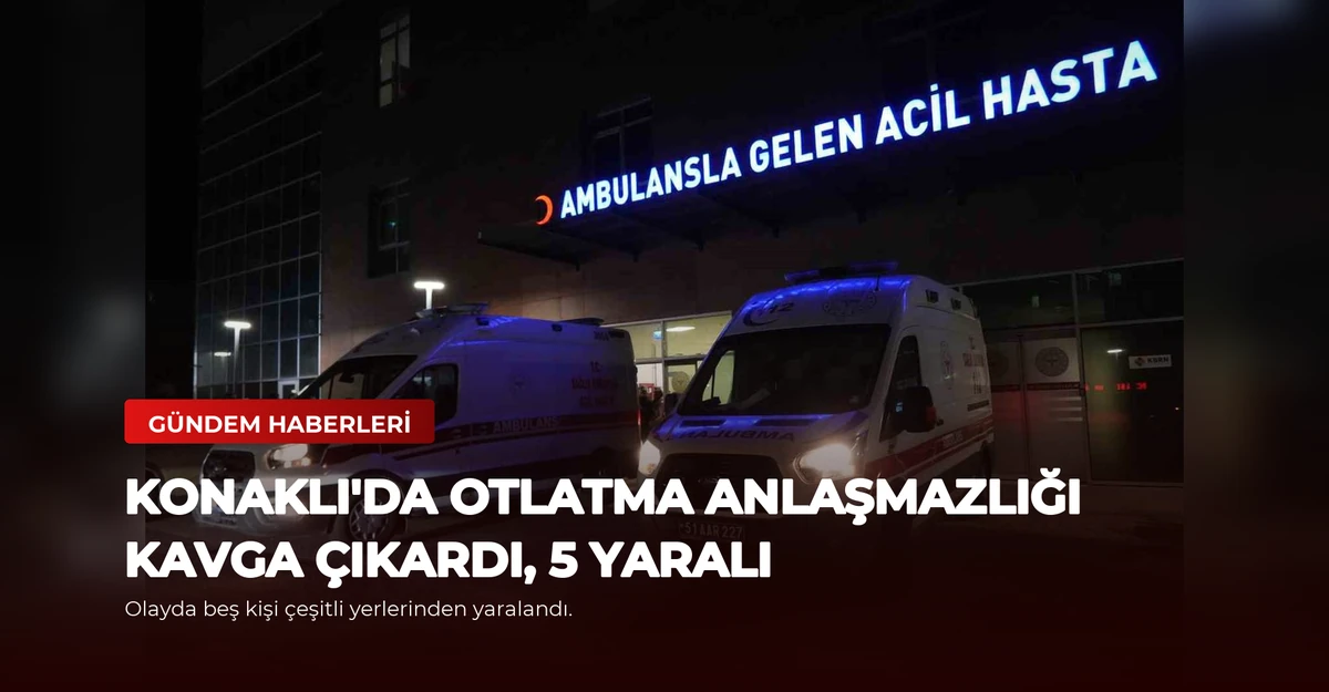 Konaklı'da Otlatma Anlaşmazlığı Kavga Çıkardı, 5 Yaralı