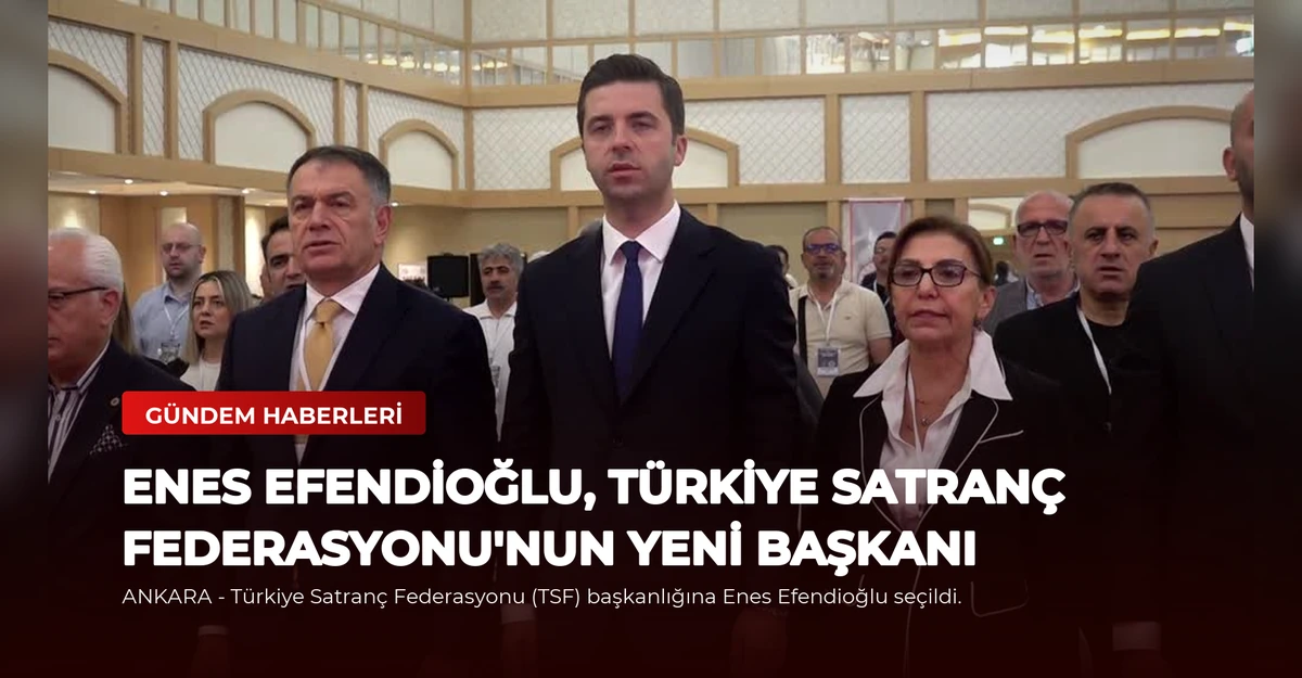Enes Efendioğlu, Türkiye Satranç Federasyonu'nun Yeni Başkanı