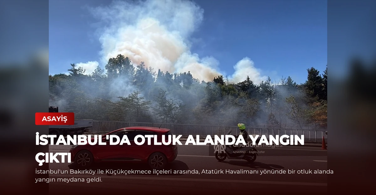 İstanbul'da Otluk Alanda Yangın Çıktı