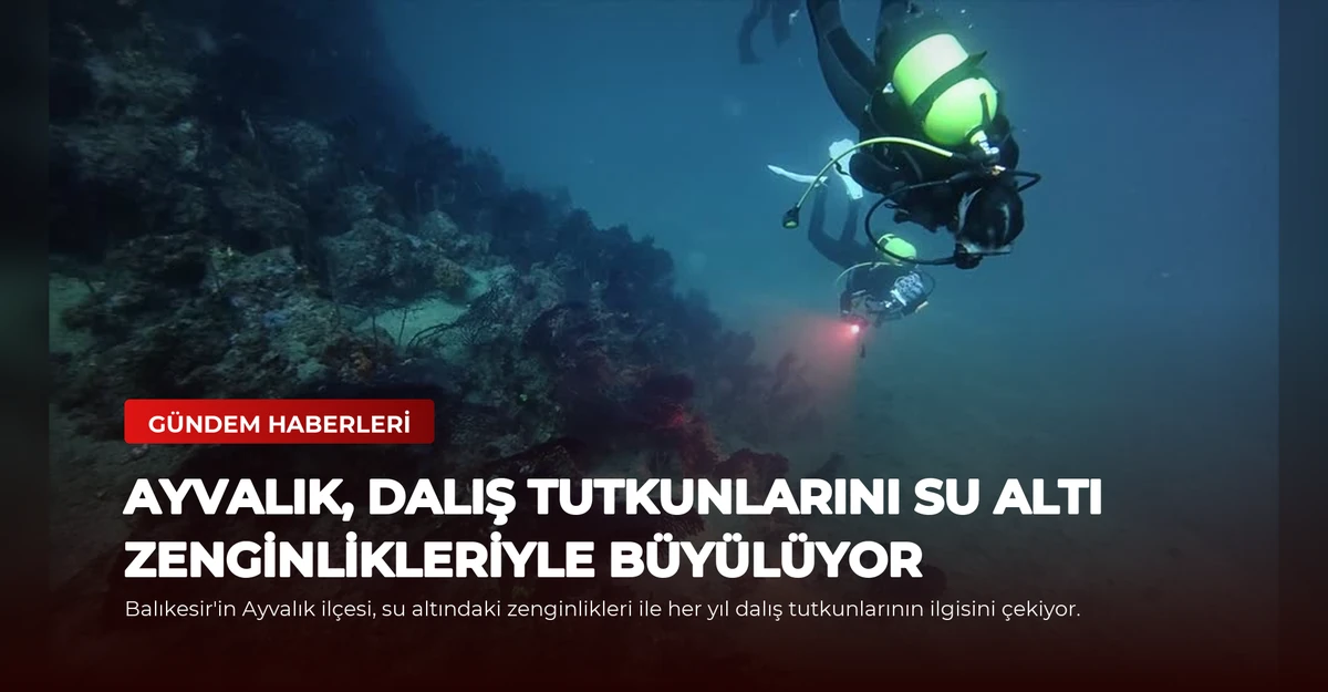 Ayvalık, Dalış Tutkunlarını Su Altı Zenginlikleriyle Büyülüyor