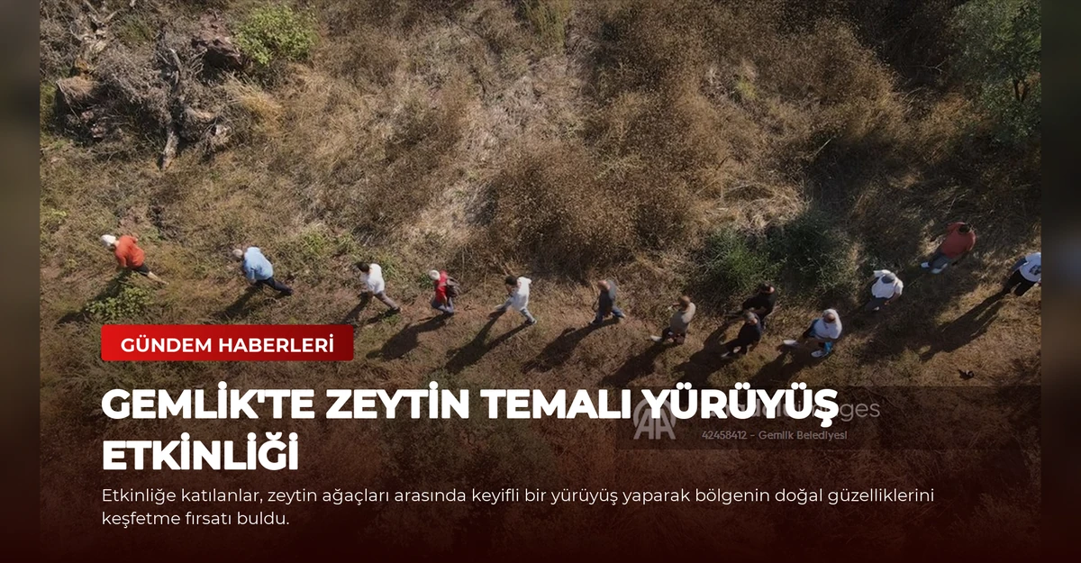 Gemlik'te Zeytin Temalı Yürüyüş Etkinliği