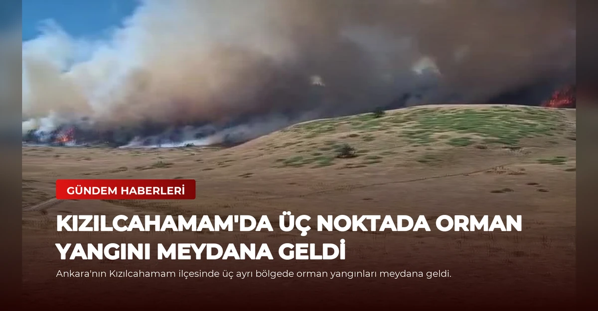 Kızılcahamam'da Üç Noktada Orman Yangını Meydana Geldi