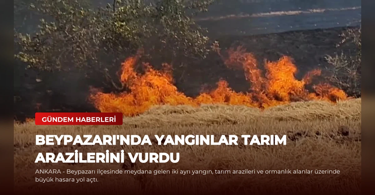 Beypazarı'nda Yangınlar Tarım Arazilerini Vurdu