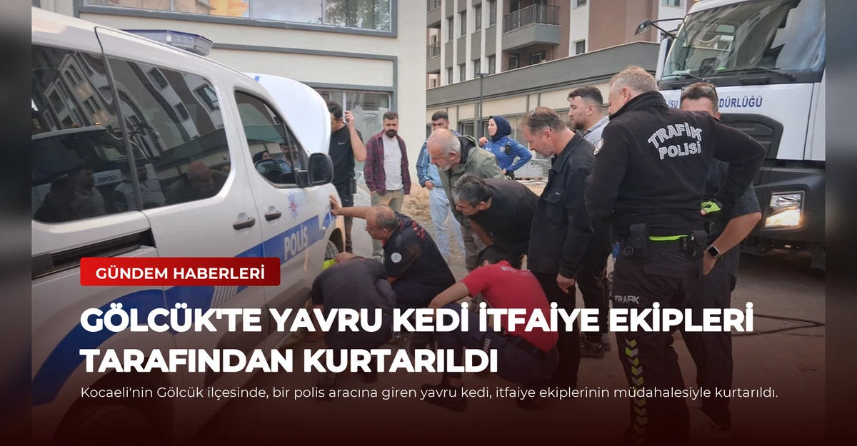 Gölcük'te Yavru Kedi İtfaiye Ekipleri Tarafından Kurtarıldı