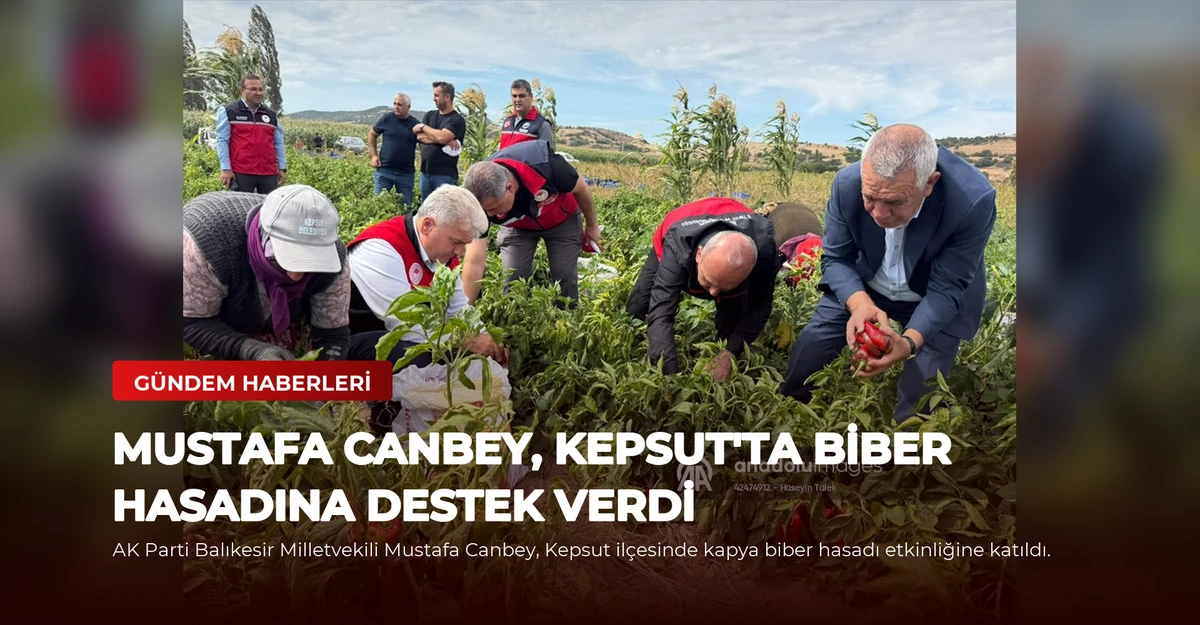 Mustafa Canbey, Kepsut'ta Biber Hasadına Destek Verdi