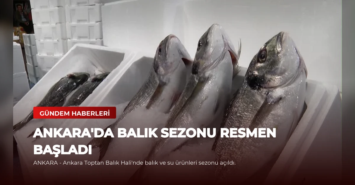Ankara'da Balık Sezonu Resmen Başladı