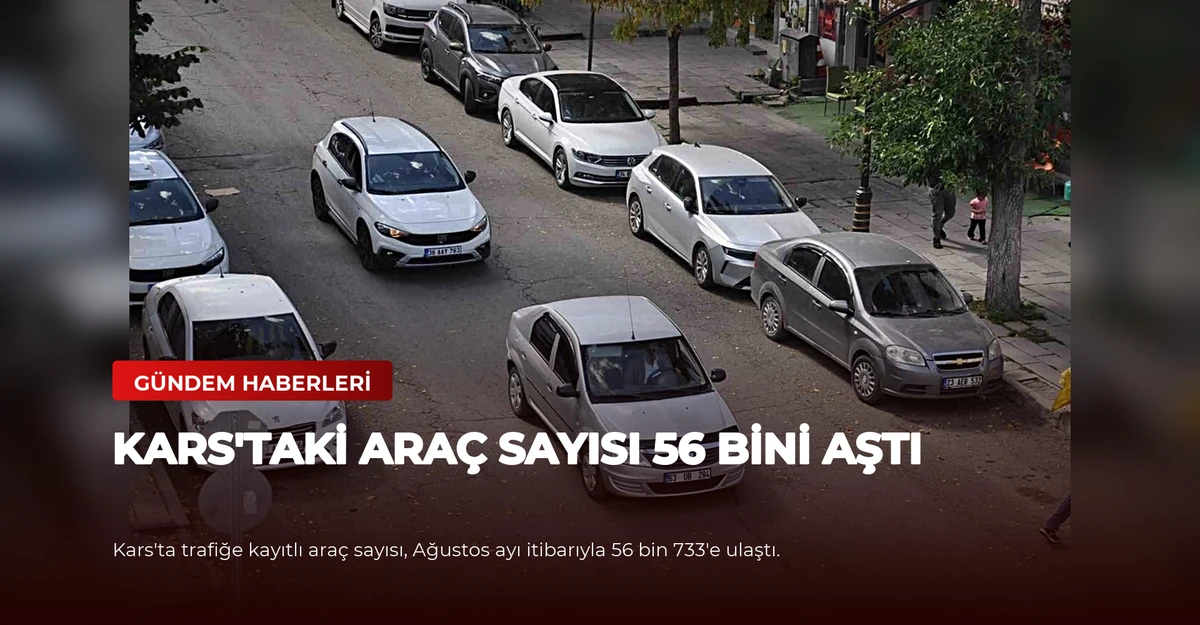 Kars'taki Araç Sayısı 56 Bini Aştı