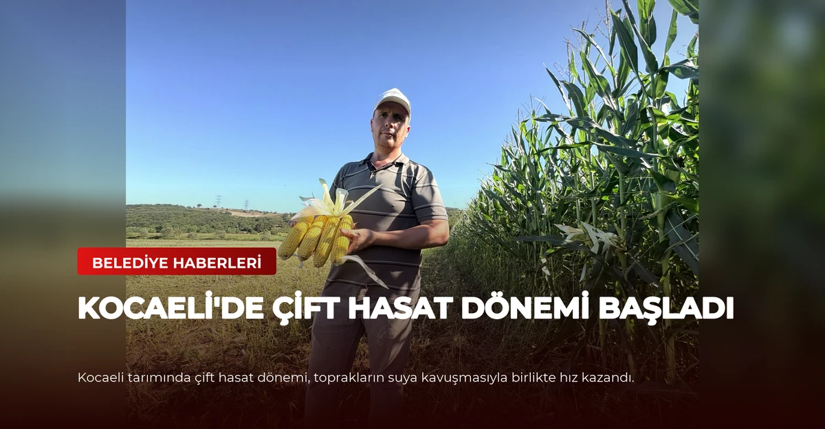 Kocaeli'de Çift Hasat Dönemi Başladı