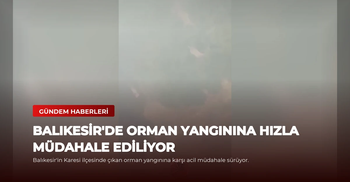 Balıkesir'de Orman Yangınına Hızla Müdahale Ediliyor