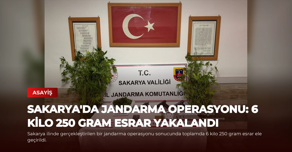 Sakarya'da Jandarma Operasyonu: 6 Kilo 250 Gram Esrar Yakalandı