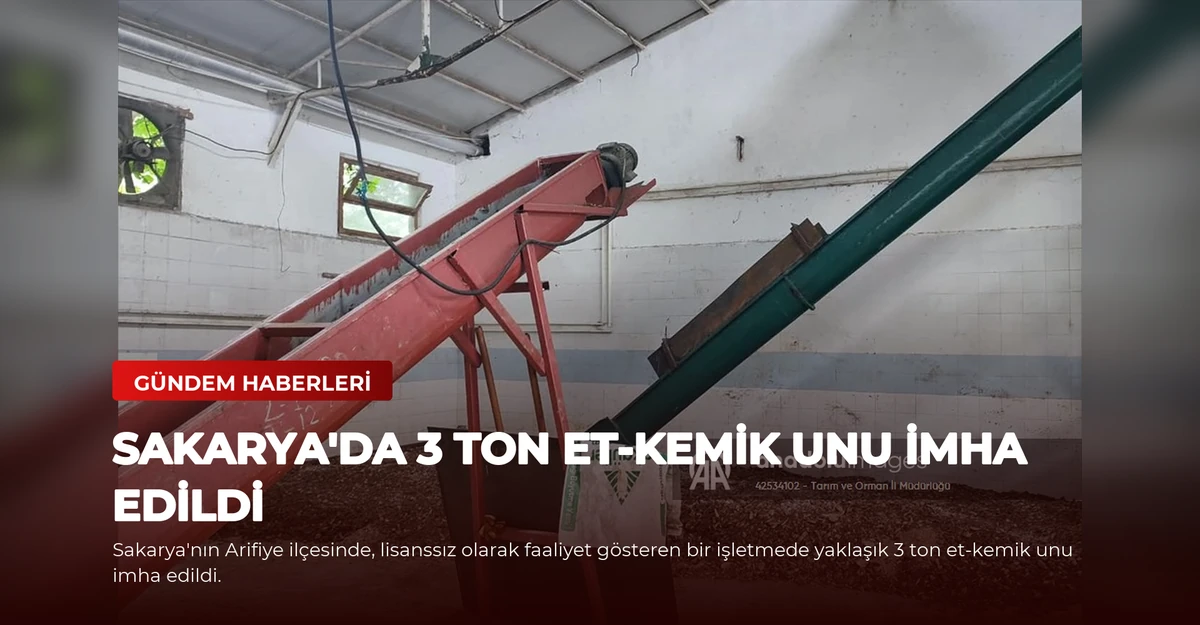 Sakarya'da 3 Ton Et-Kemik Unu İmha Edildi