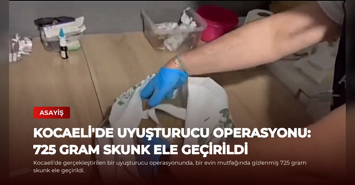 Kocaeli'de Uyuşturucu Operasyonu: 725 Gram Skunk Ele Geçirildi