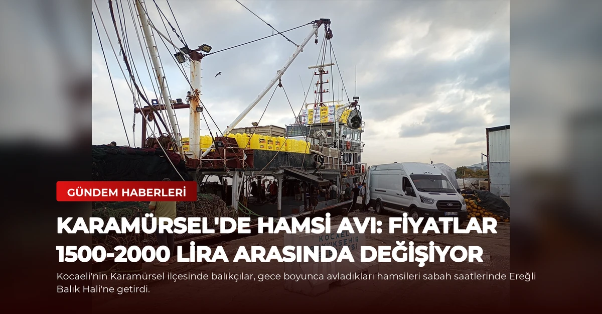 Karamürsel'de Hamsi Avı: Fiyatlar 1500-2000 Lira Arasında Değişiyor