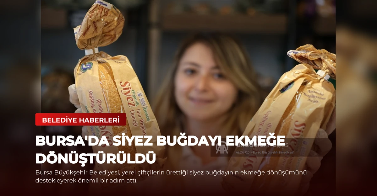 Bursa'da Siyez Buğdayı Ekmeğe Dönüştürüldü