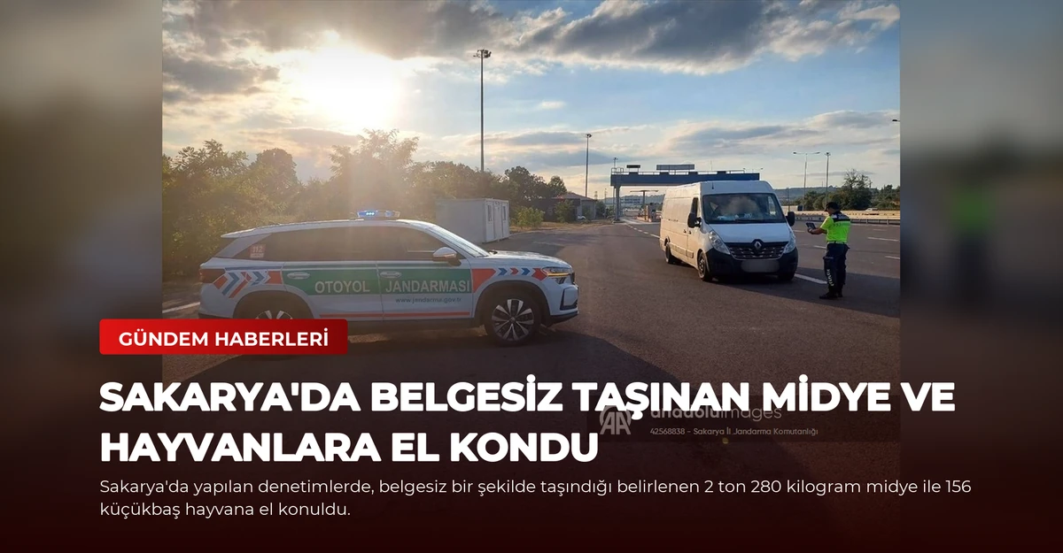 Sakarya'da Belgesiz Taşınan Midye ve Hayvanlara El Kondu