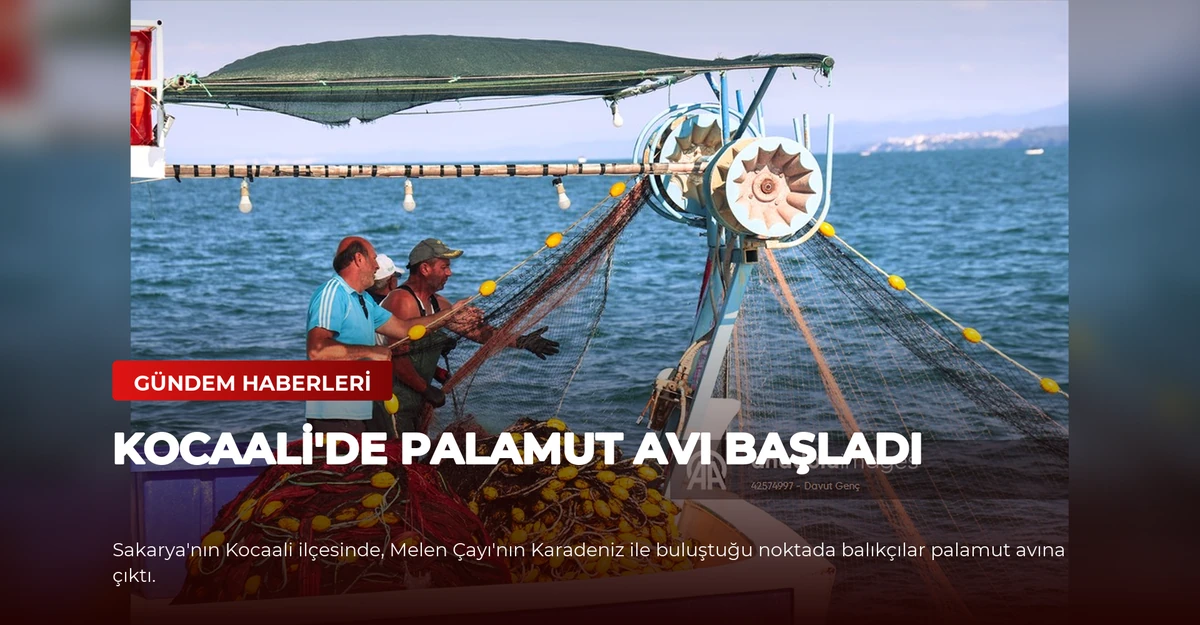 Kocaali'de Palamut Avı Başladı