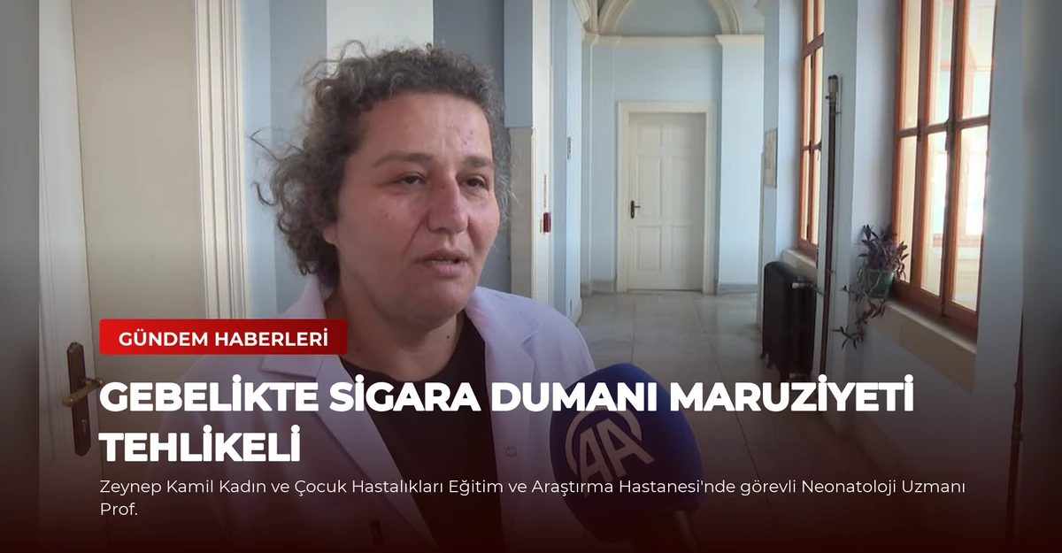 Gebelikte Sigara Dumanı Maruziyeti Tehlikeli